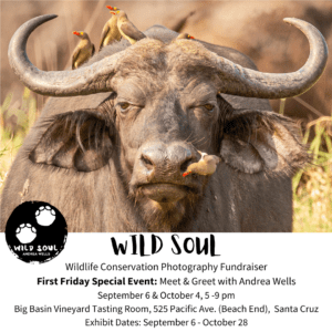 Wild Sould Conservation Fundraiser